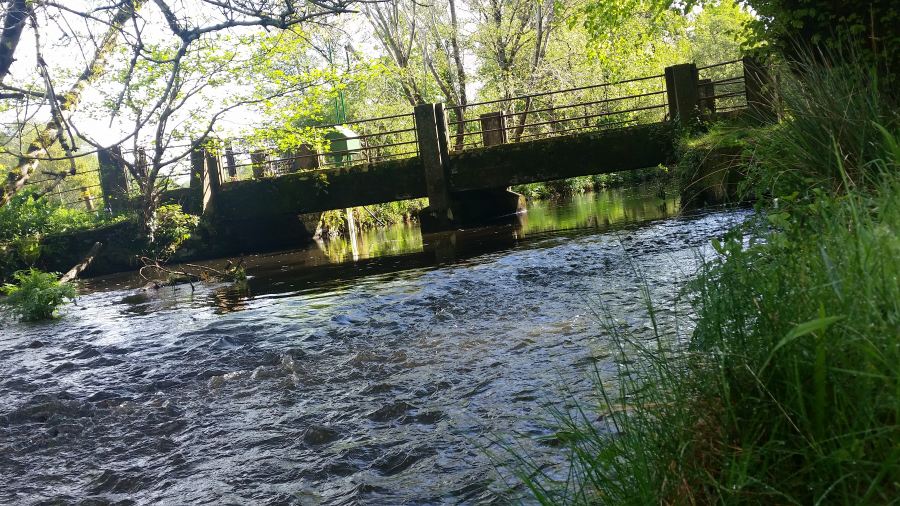 National Park Killarney