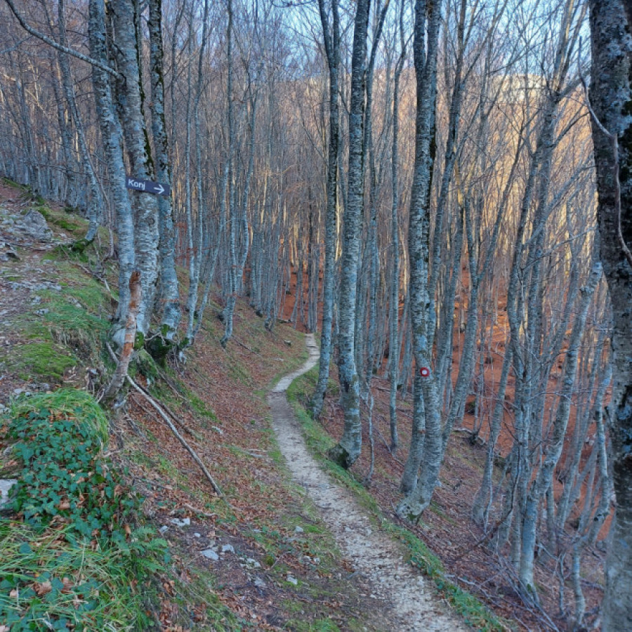 Kamešnica