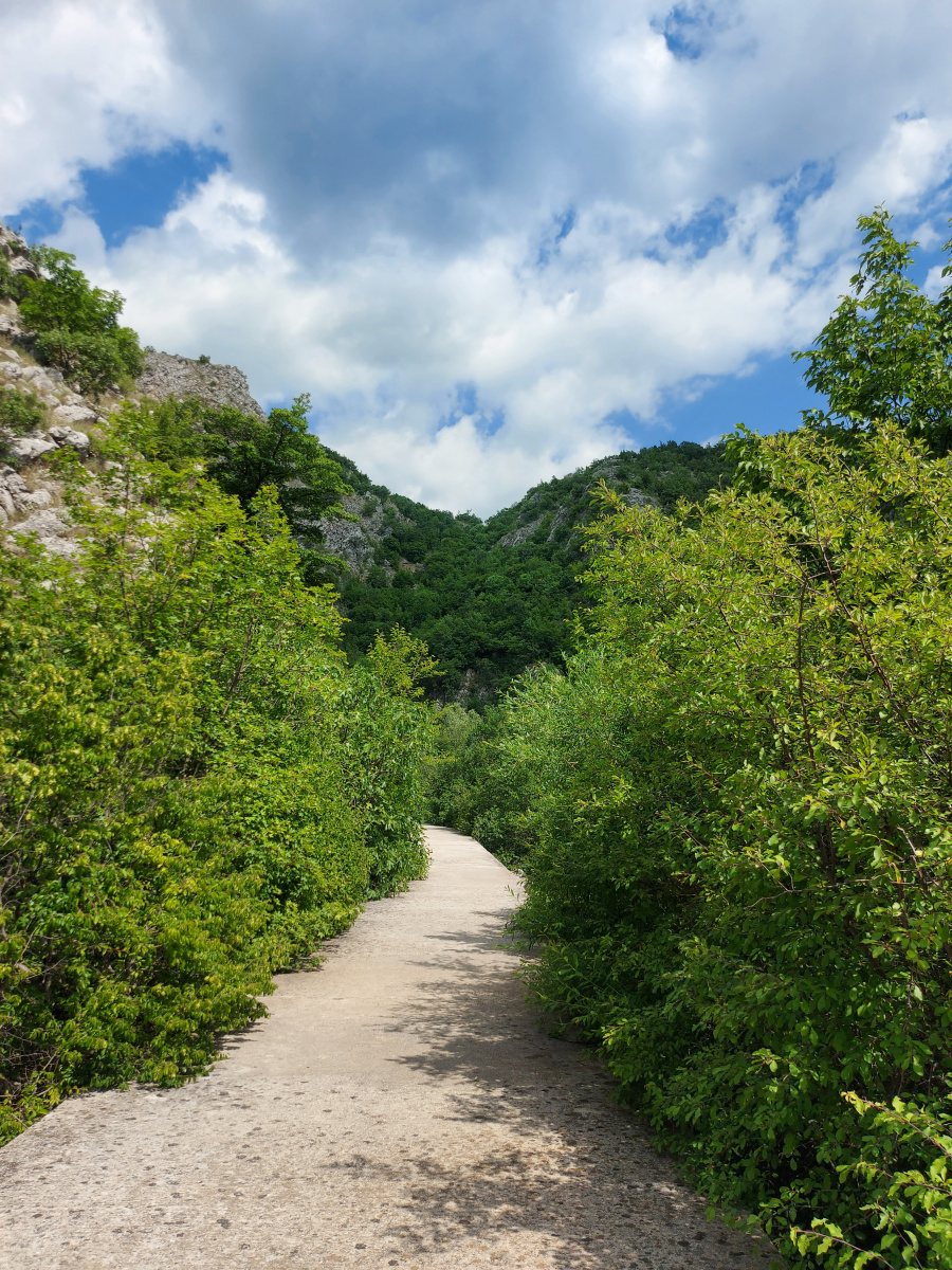 Ruda spring