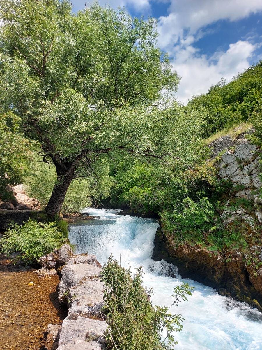 Ruda spring