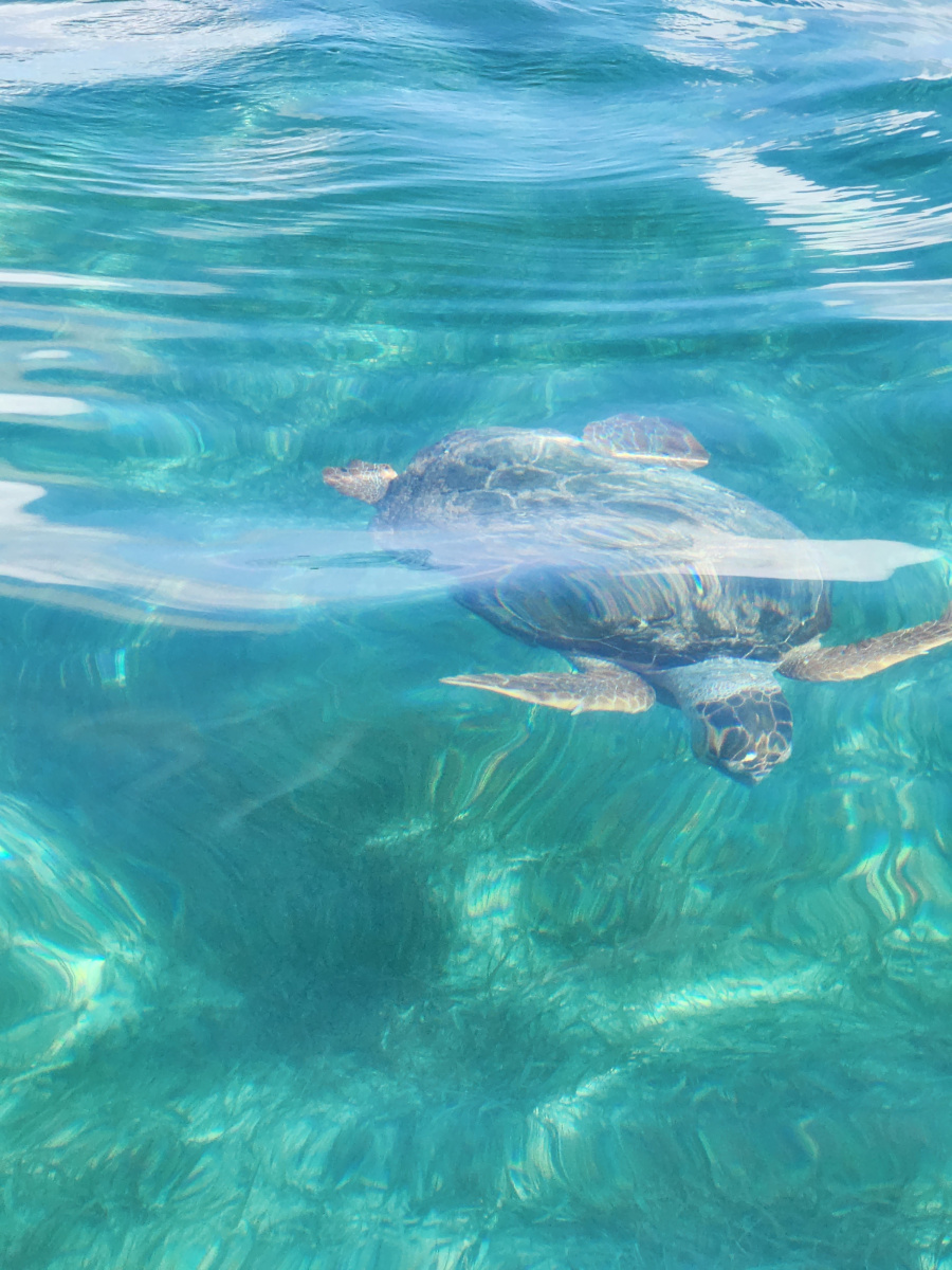 Laughing Bird Caye Belize