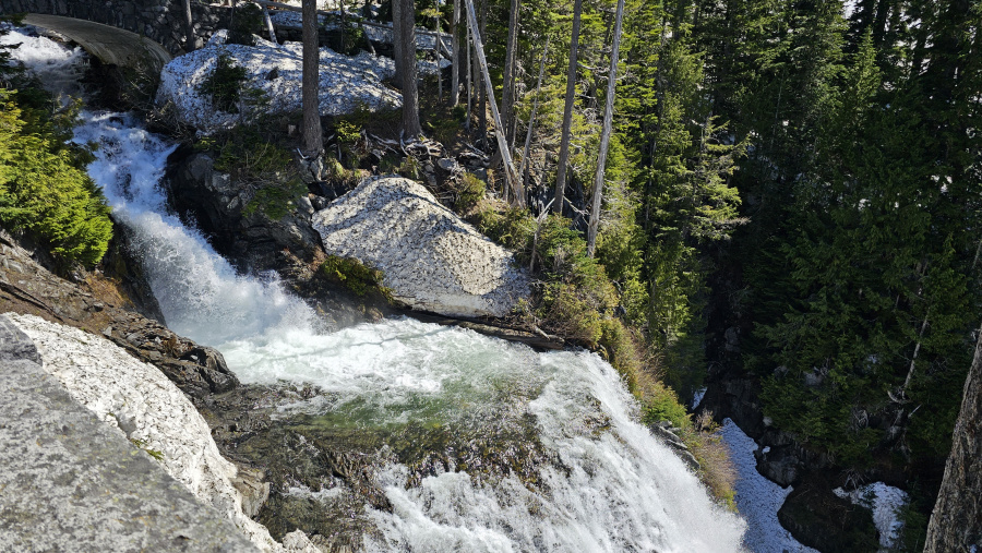 Mt. Rainier National Park Washington
