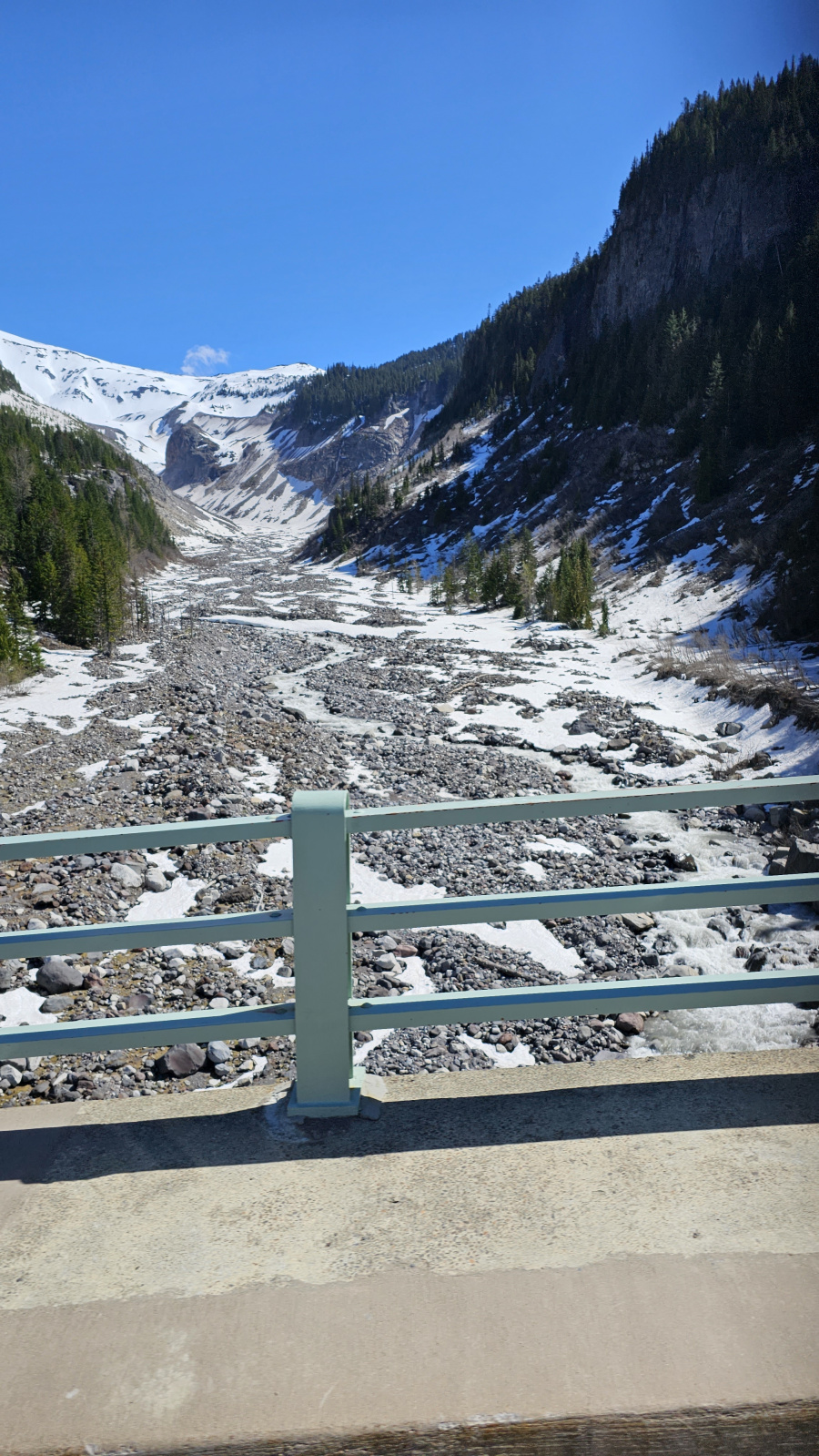 Mt. Rainier National Park Washington
