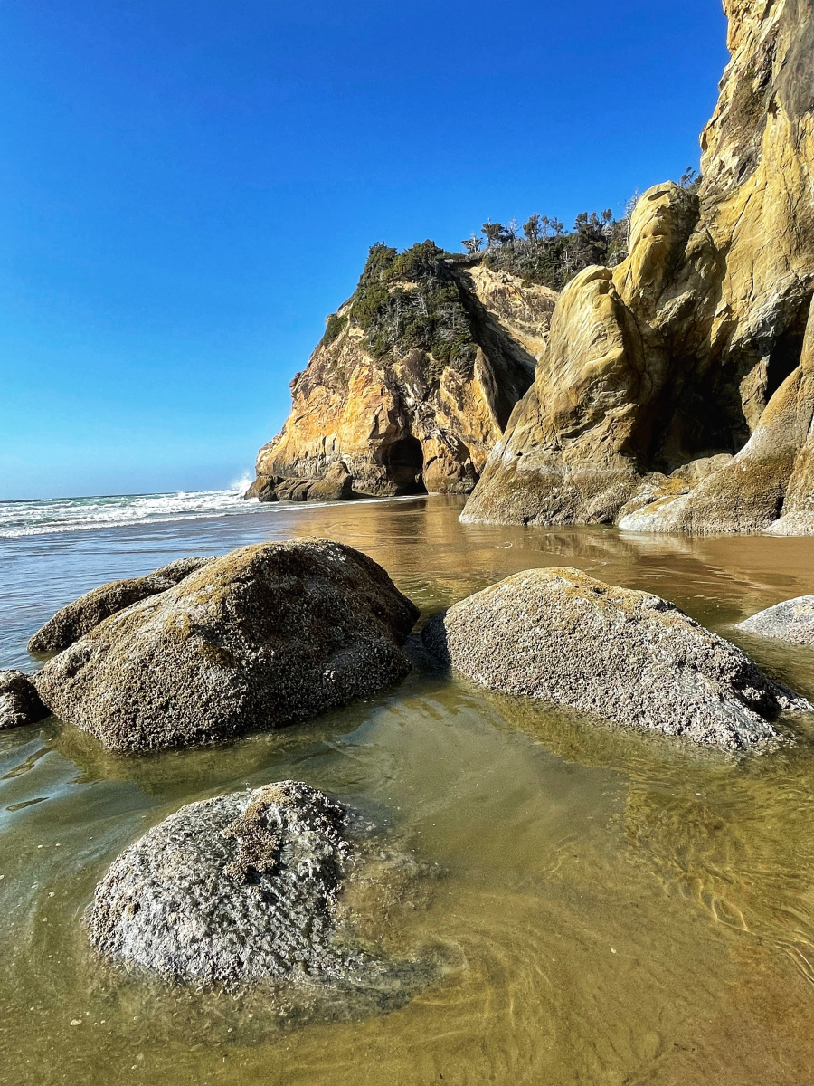 Oregon Coast