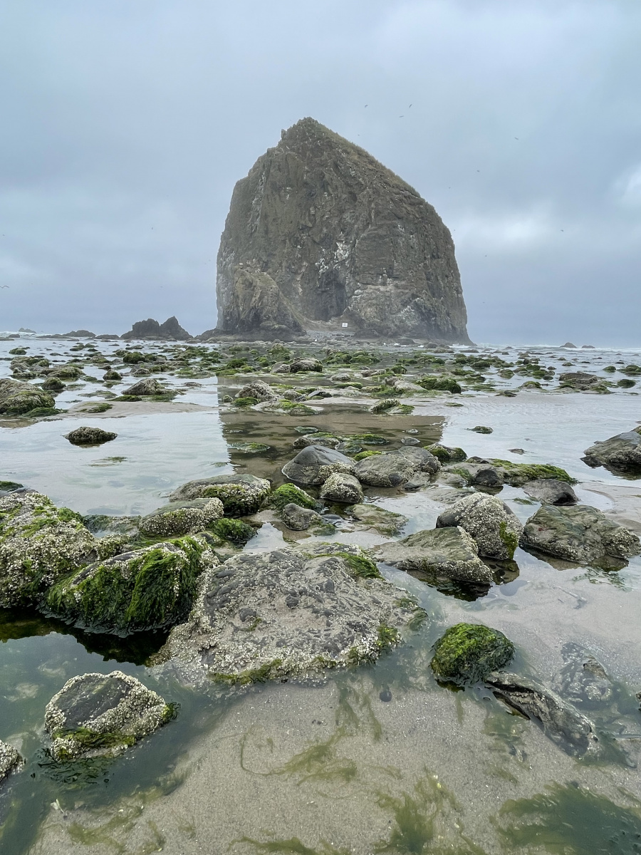 Oregon Coast