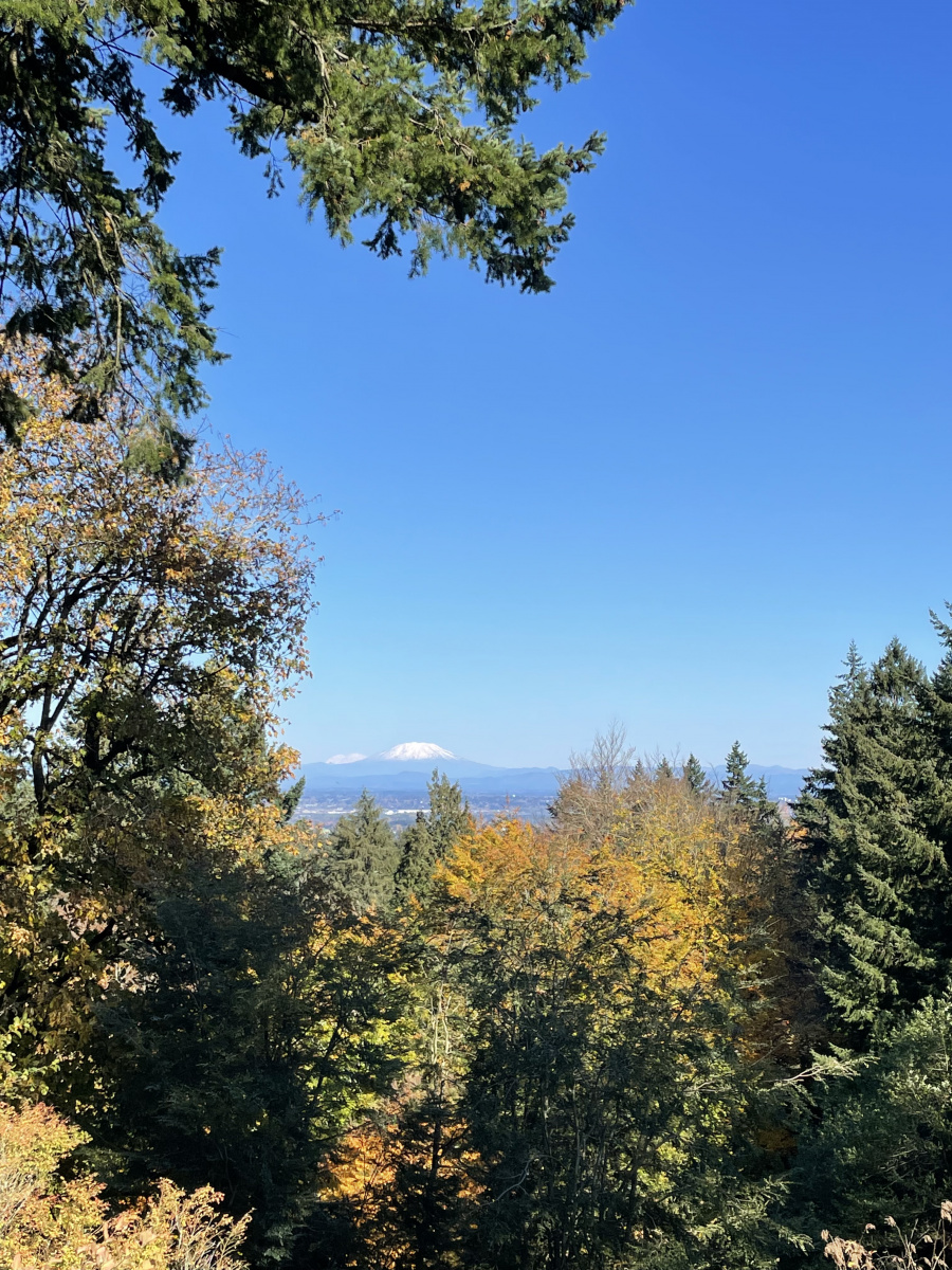Falling for Oregon