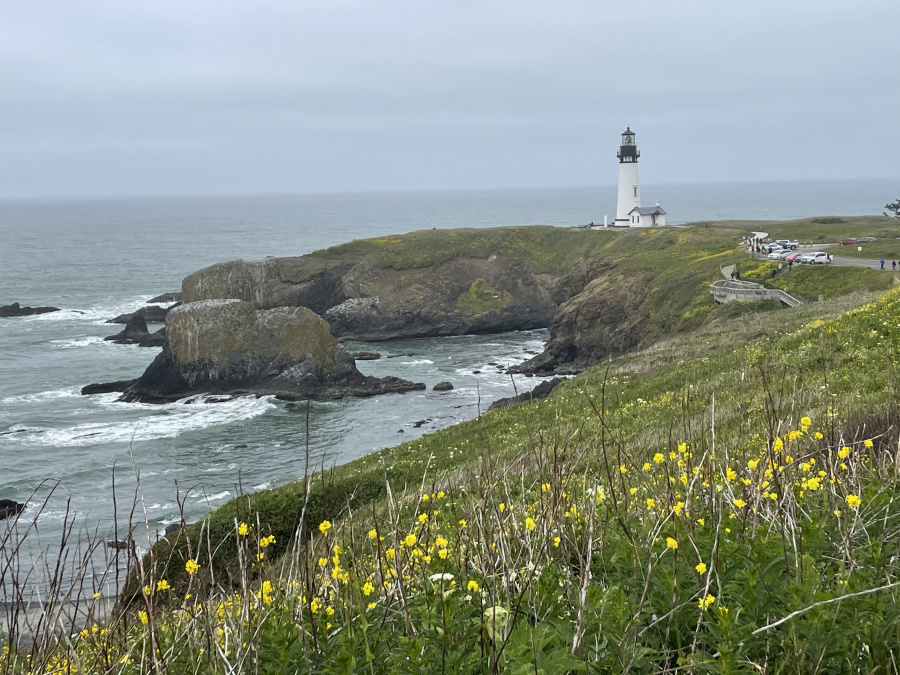 Oregon Coast