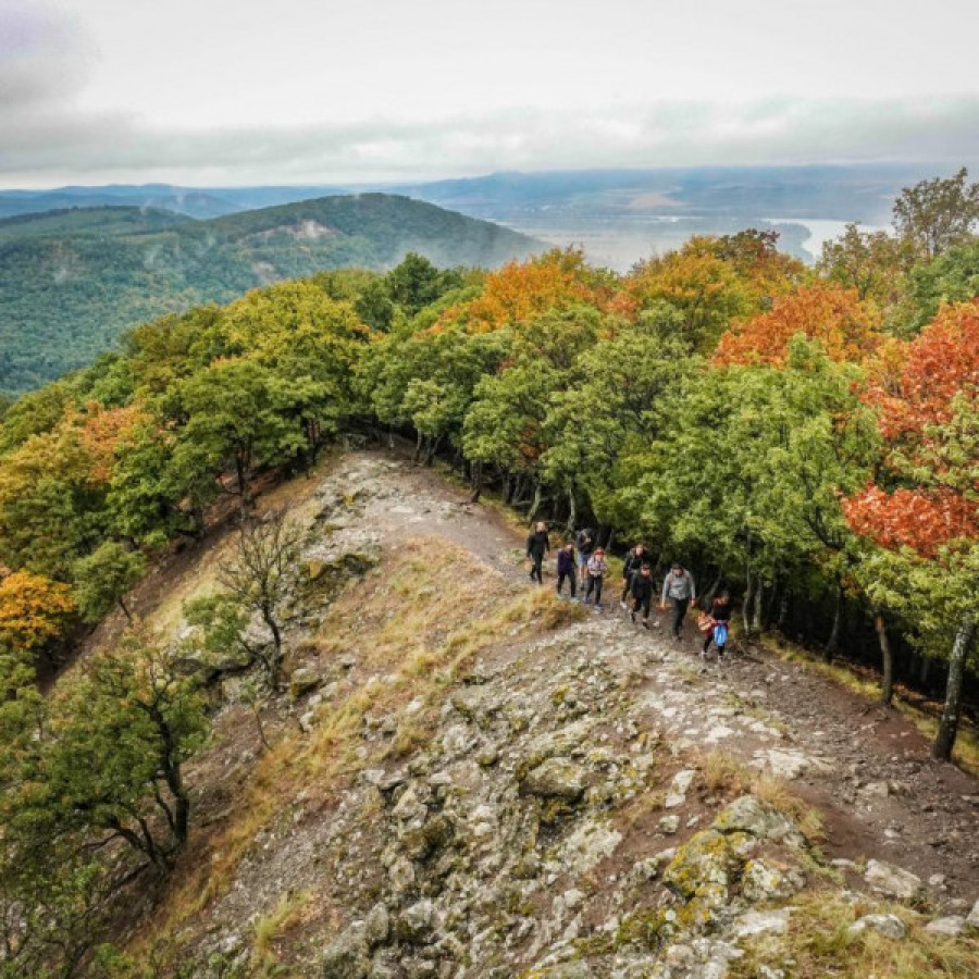 One Day Wonder Hike
