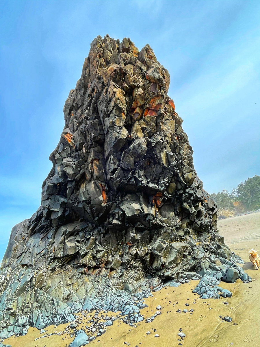 Oregon Coast