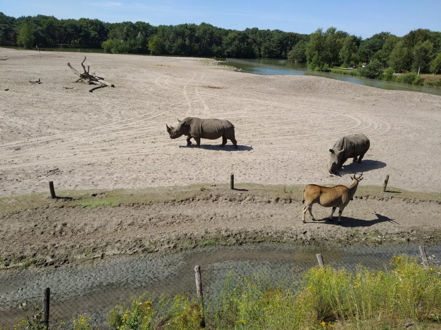 Safaripark, Netherlands