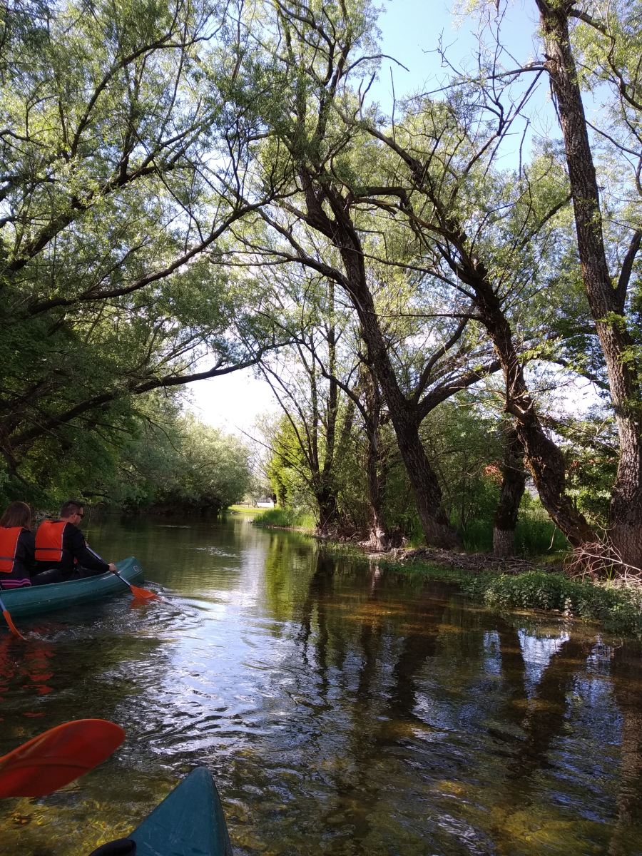 Stur.ba canoe and birdwatching Bosnia and Herzegovina