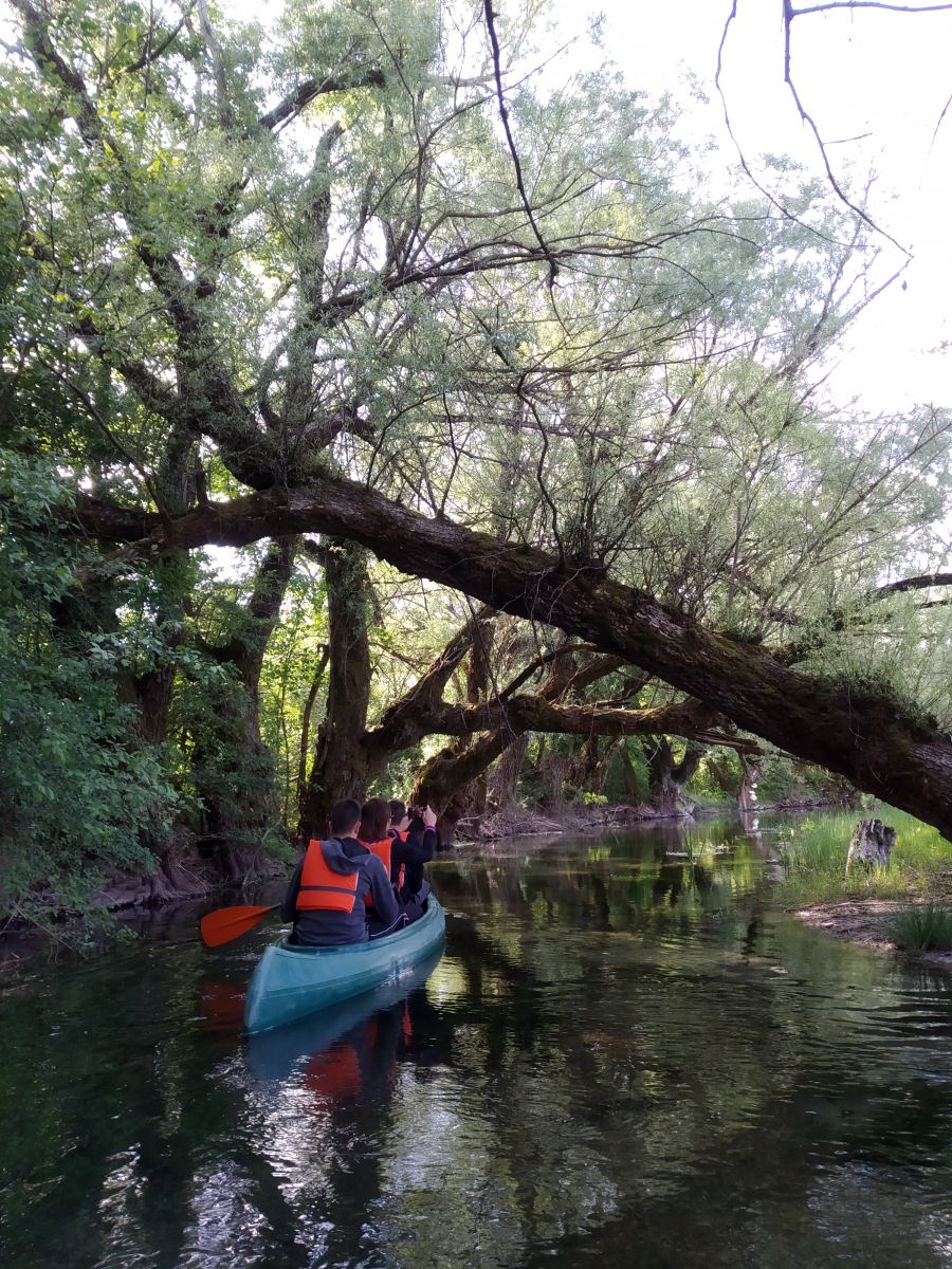 Stur.ba canoe and birdwatching Bosnia and Herzegovina