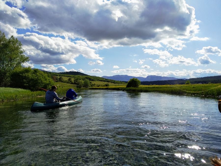 Stur.ba canoe and birdwatching Bosnia and Herzegovina