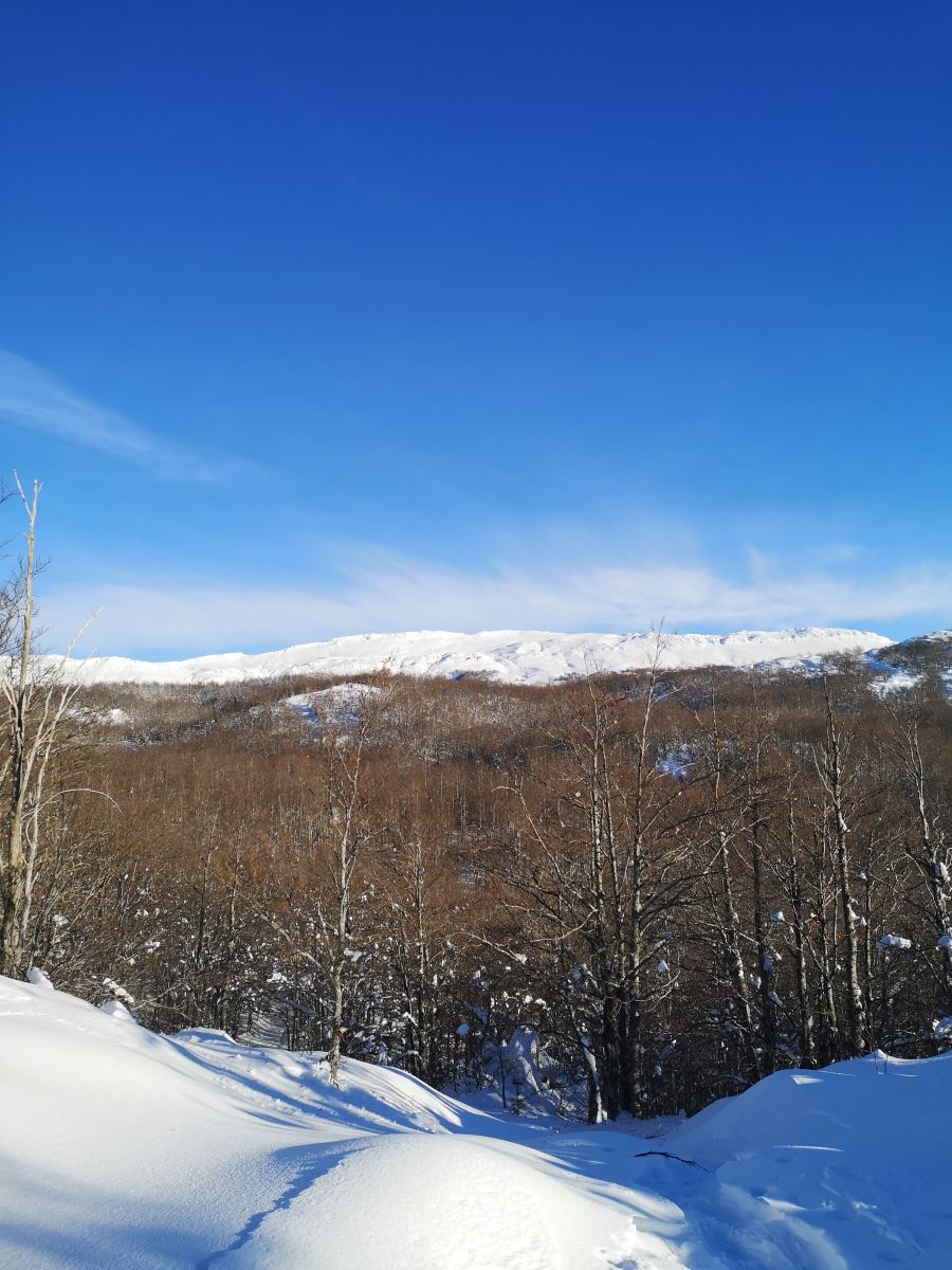 Kamešnica