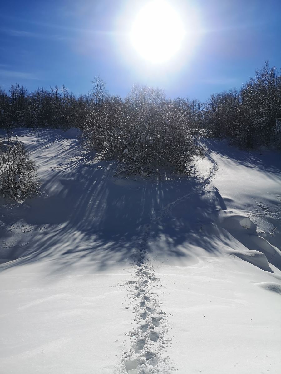 Kamešnica