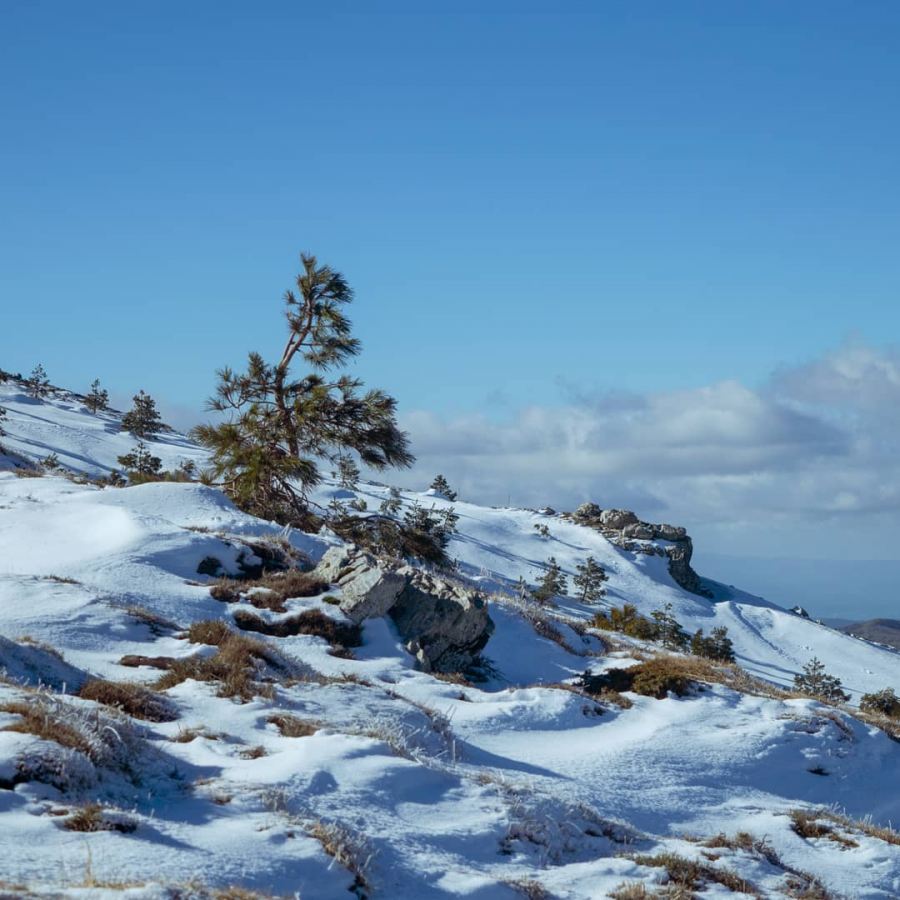 Snow on the Gennargentu