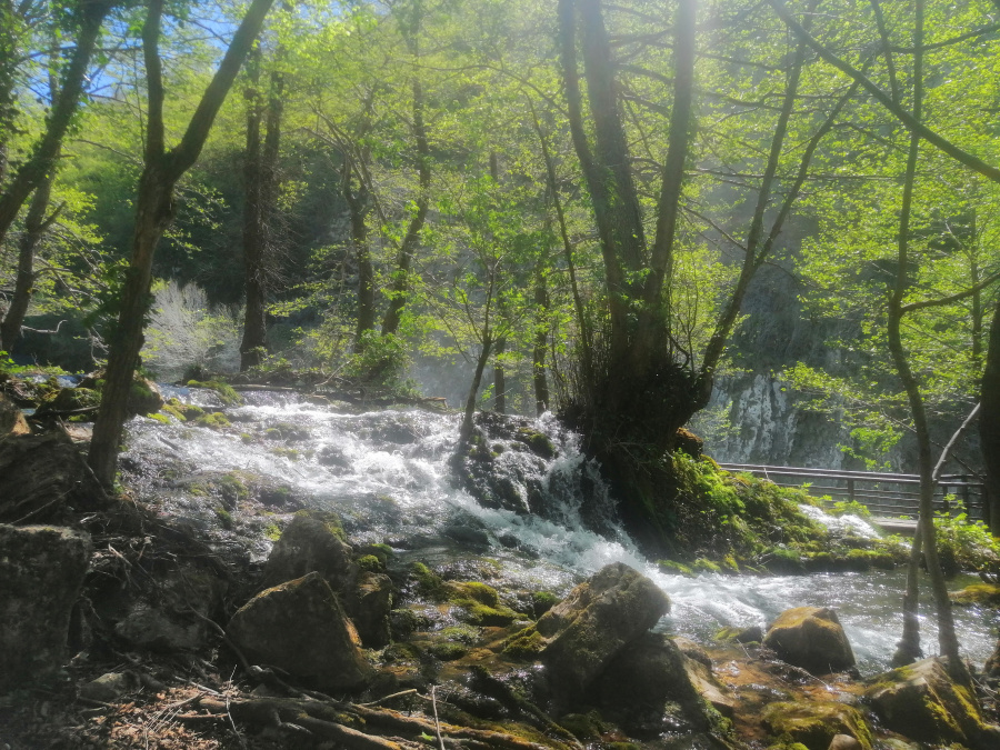 Štrbački Buk