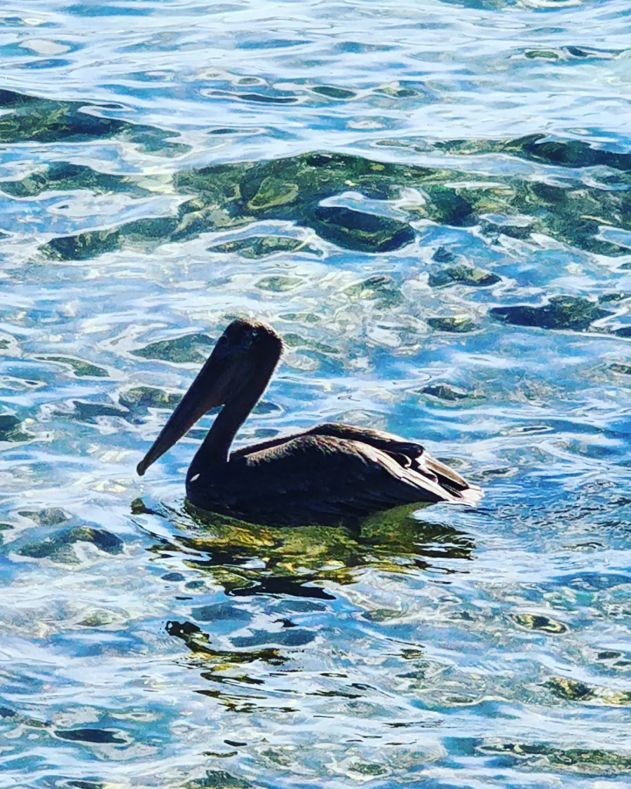 Laughing Bird Caye Belize