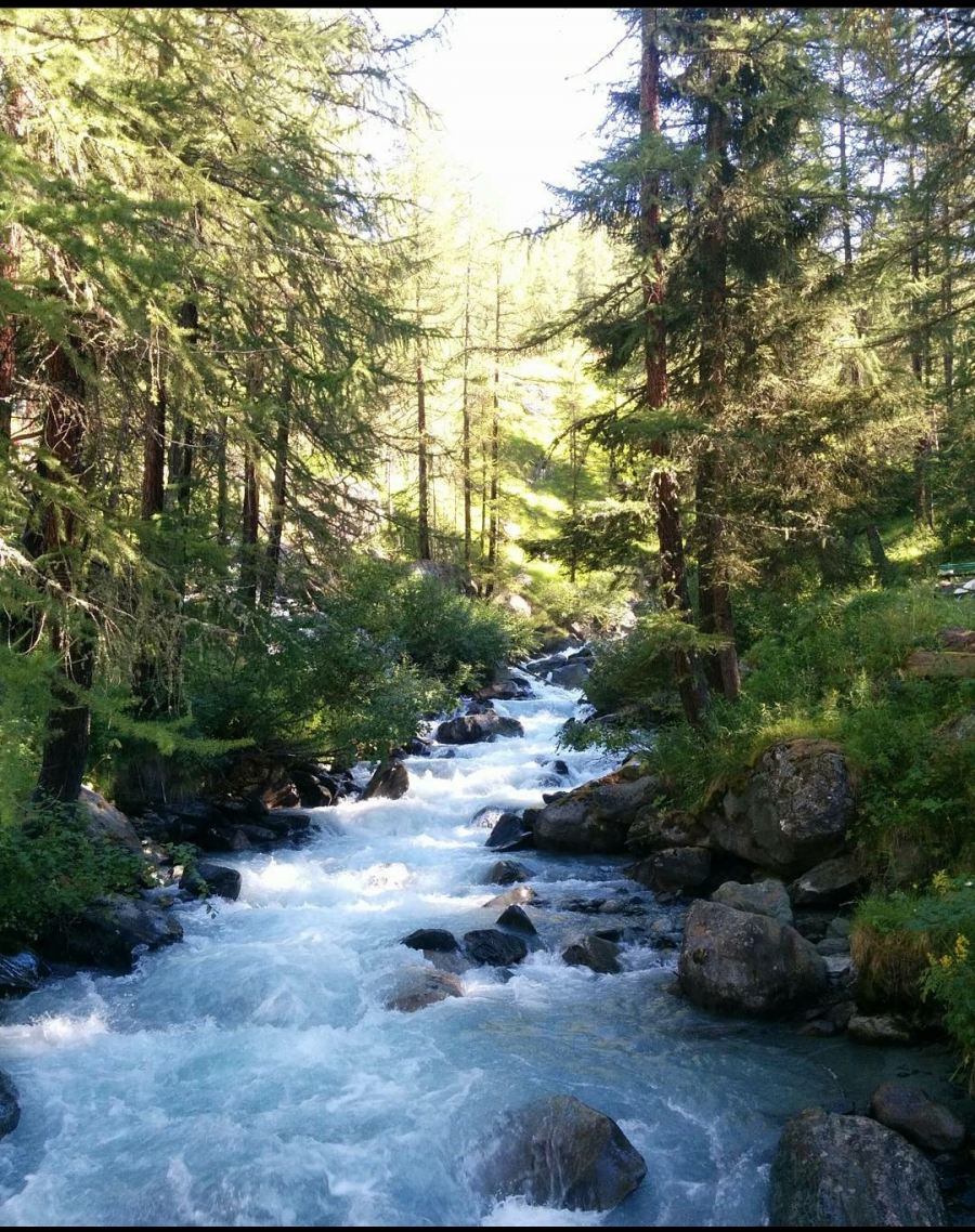 Hiking in Champoluc Aosta Valley Italy