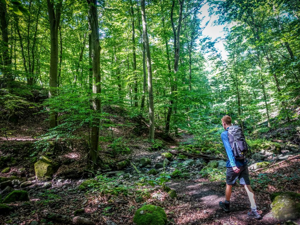 One Day Wonder Hike