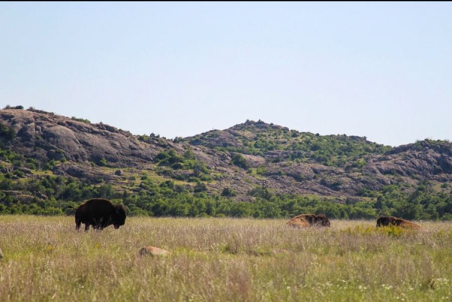 Wichita Mountains- I thought Oklahoma was a fly-over state?!