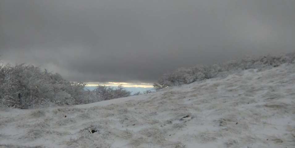 Ozeblo se na Ozeblinu