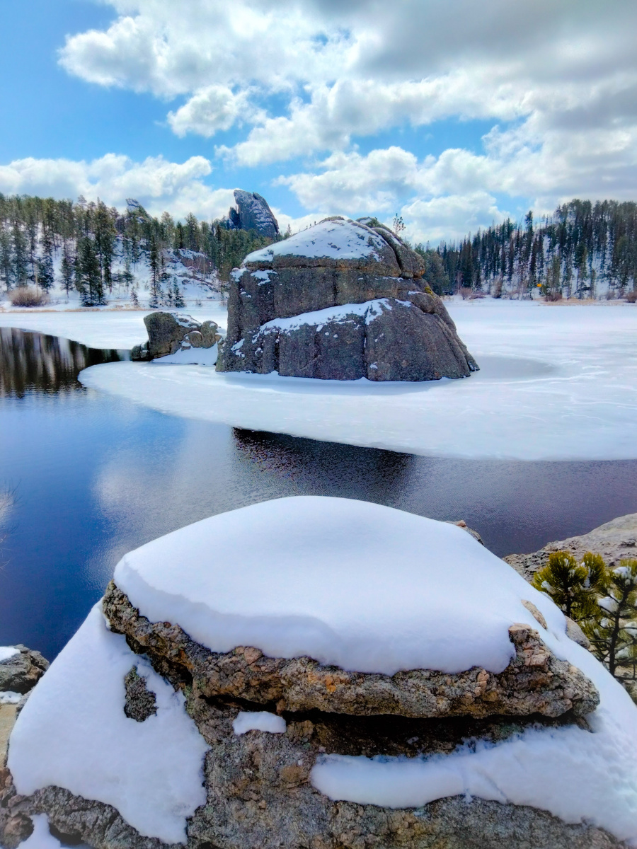 Custer State Park