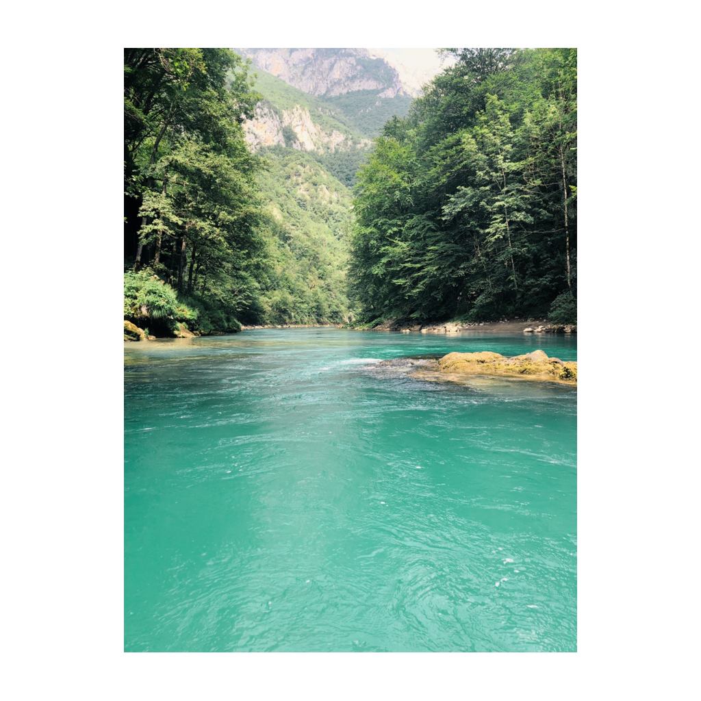 Tara Canyon rafting
