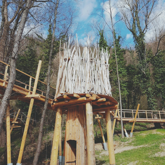 Canopy Walk / Šetnja u krošnjama