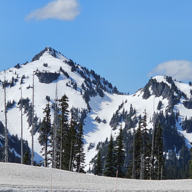 Mt. Rainier National Park Washington