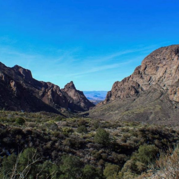 Big Bend National Park- What do you get when you cross a cactus and a mountain lion?