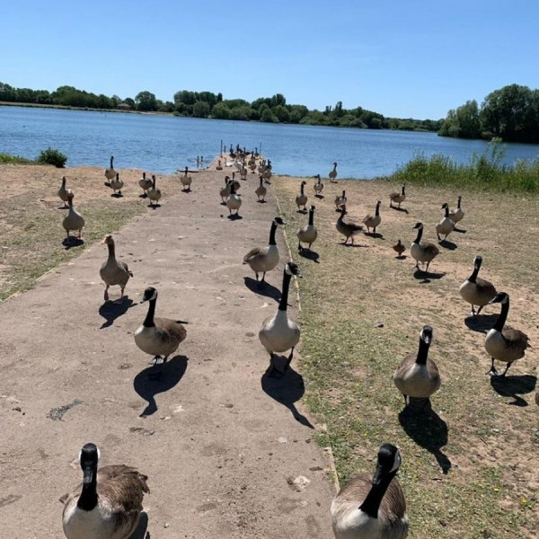 Wollaton Hall, Gardens and Deer Park image 2