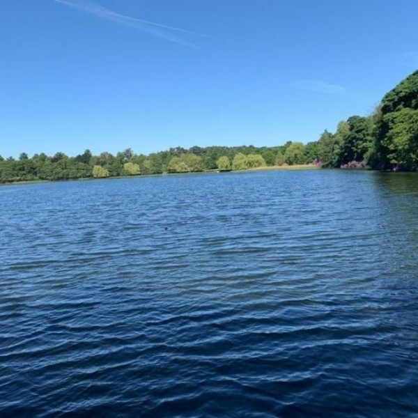 Wollaton Hall, Gardens and Deer Park image 3