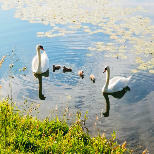 Orešje Lake