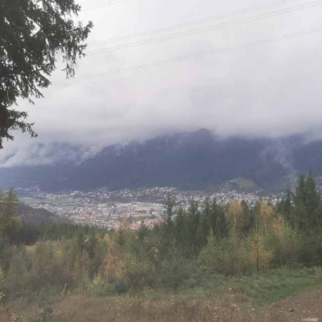 Forestry walk, two lakes side by side image 3
