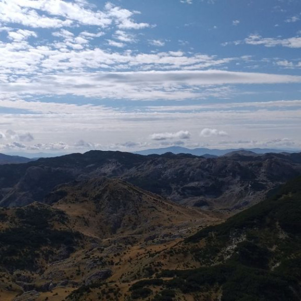 Velika Lelija image 3